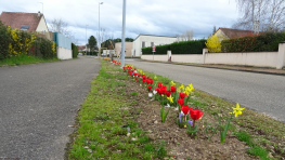 Avenue de l'Europe