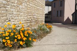 Rue Bertrand Voiseau