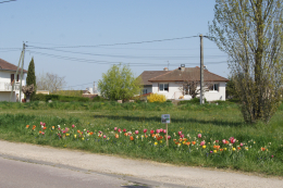 Rue des Alouettes