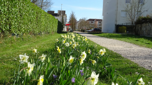 Rue des Prévoyants