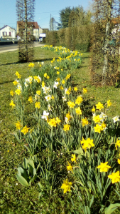 Route de Givry