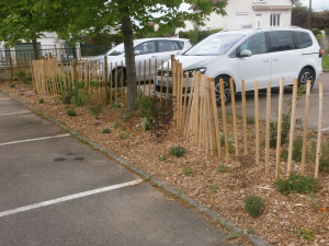 Massif école Henri Clément (après travaux)