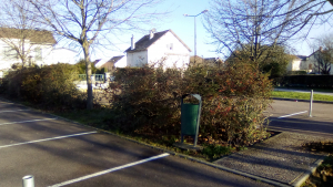 Massif école Henri Clément (avant travaux)