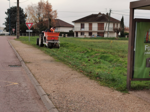 Plantation rue des Alouettes