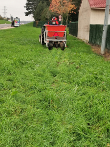 Plantation Route de Buxy