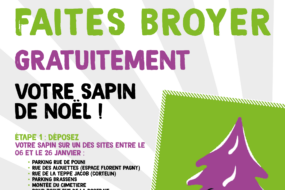 Broyage des sapins de Noël